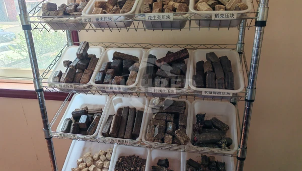 Diversified Sources and Application Choices of RDF