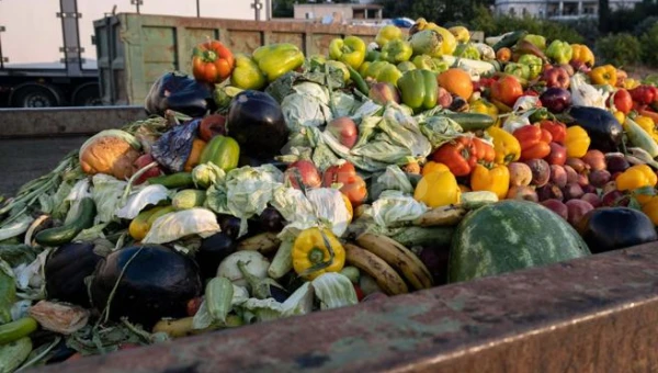 Grocery Waste Shredding Solution Tailored for Vermicomposting Operations