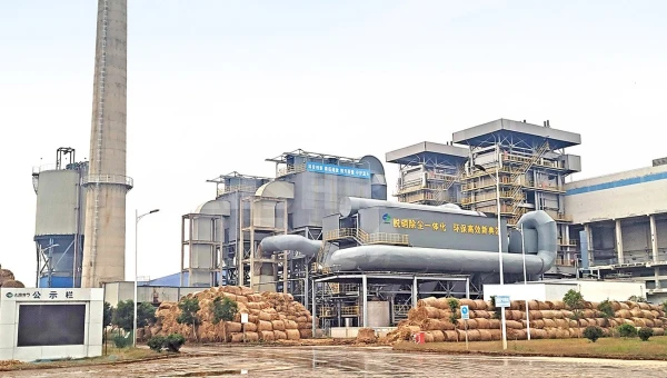 Biomass Co-Firing in CFB Boilers: A Sustainable Pathway to Carbon Neutrality with GEP ECOTECH's Advanced Preprocessing Solutions