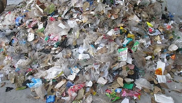 Advantages and Suggestions for Adding Wood Chips in the RDF Pellet Production Process