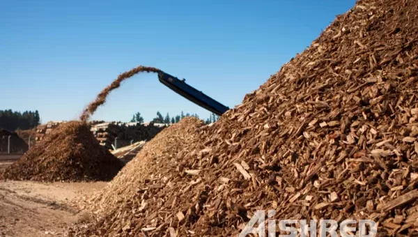 Waste Wood RDF Forming Process