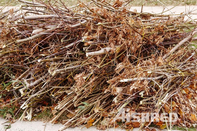 Tree Branches and Garden Waste being shredded