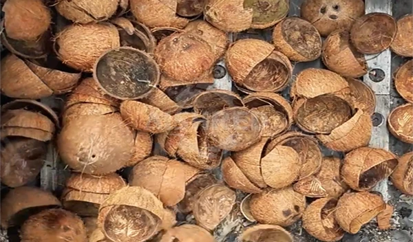 Coconut Shell Recycling and Utilization: Solutions and Equipment Selection