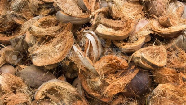 GEP ECOTECH's GZP Series Drum Chipper Boosts Biomass Energy Conversion