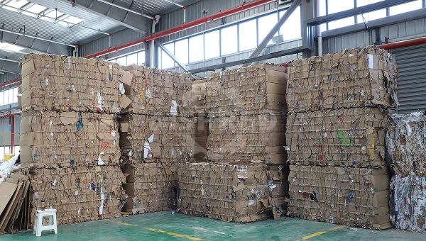 Efficient Cardboard Press: GEP ECOTECH's Shredding + Baling Solution for a Greener Circular Economy