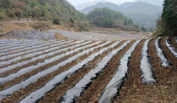 GEP ECOTECH's Innovative Solution Tackles Agricultural Film Recycling Challenges, Boosting Sustainable Agriculture