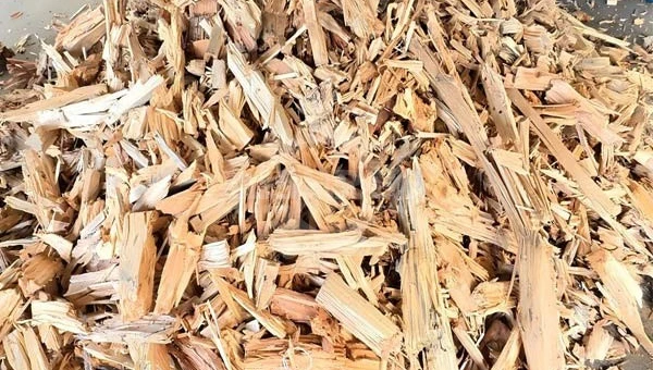 Heavy Duty Tree Root Shredder | Dual Shaft Shredder for Wood Waste Recycling
