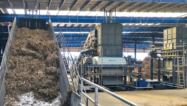 Biomass Waste Processing