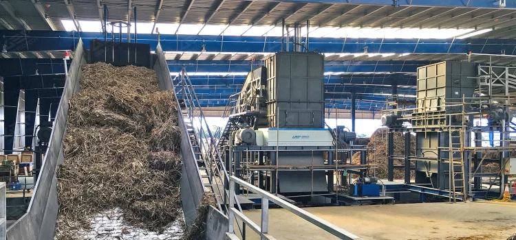 Biomass Waste Processing