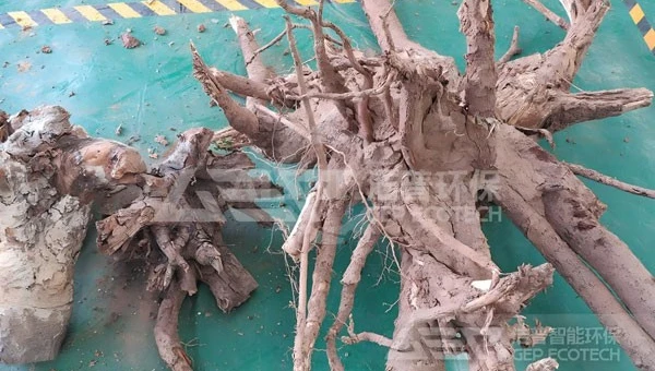 Heavy Duty Tree Root Shredder | Dual Shaft Shredder for Wood Waste Recycling
