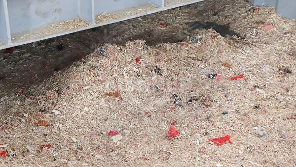 Advantages and Suggestions for Adding Wood Chips in the RDF Pellet Production Process