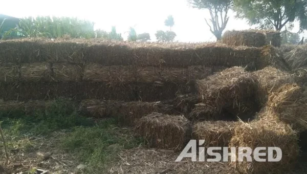 Sugarcane Leaves Shredder, AIShred Biomass Shredder Machine for Sale