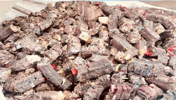 GEP ECOTECH Delivers High-Performance RDF Pelletizing Unit in the Middle East