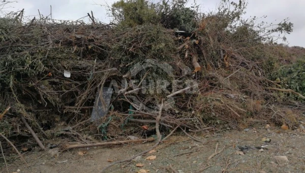 Garden Shredder Solutions—Heavy-Duty Wood Waste Management by GEP ECOTECH