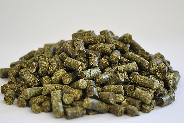 Alfalfa Pellet