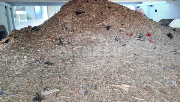 GEP ECOTECH Launches Advanced Wood Shredder for High-Capacity, Fine-Output Applications