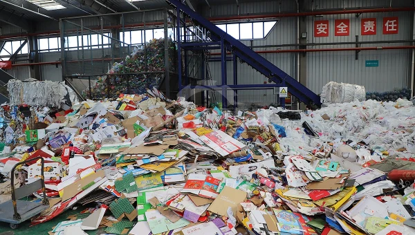 Efficient Cardboard Press: GEP ECOTECH's Shredding + Baling Solution for a Greener Circular Economy