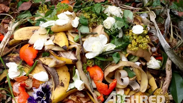 Shredder Machine for Biodegradable Waste