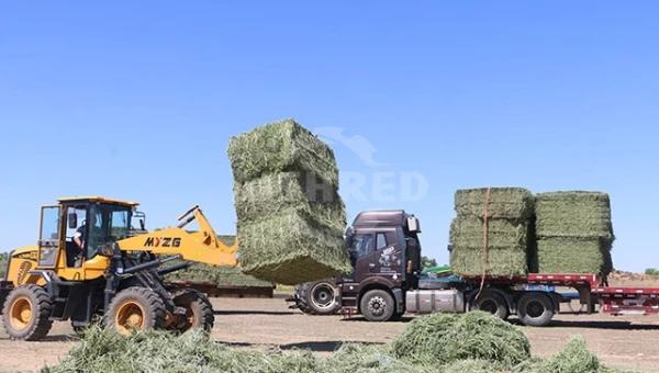 GEP ECOTECH Biomass Pelletization Lines: Your Custom Solution for High-Quality Biofuel Production