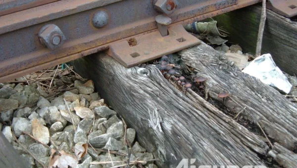 Heavy Duty Wood Shredder for Wooden Railroad Sleepers